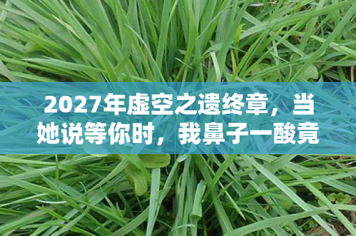 2027年虚空之遗终章，当她说等你时，我鼻子一酸竟成伏笔