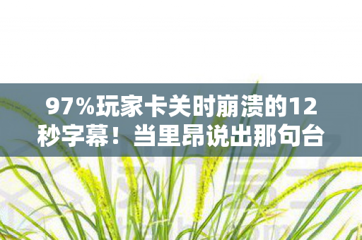 97%玩家卡关时崩溃的12秒字幕!当里昂说出那句台词,我的键盘都湿透了…… 97%玩家卡关时崩溃的12秒字幕!当里昂说出那句台词,我的键盘都湿透了……