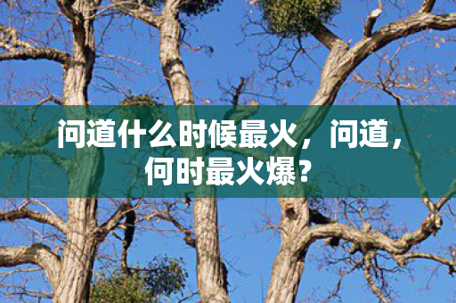 问道什么时候最火,问道,何时最火爆? 问道什么时候最火,问道,何时最火爆?