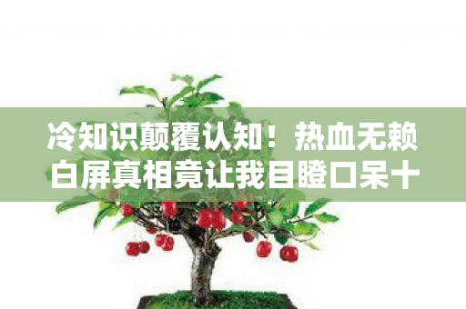 冷知识颠覆认知!热血无赖白屏真相竟让我目瞪口呆十年 冷知识颠覆认知!热血无赖白屏真相竟让我目瞪口呆十年