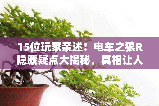 15位玩家亲述!电车之狼R隐藏疑点大揭秘,真相让人绷不住 15位玩家亲述!电车之狼R隐藏疑点大揭秘,真相让人绷不住