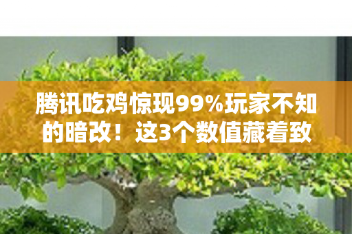 腾讯吃鸡惊现99%玩家不知的暗改!这3个数值藏着致命杀机 腾讯吃鸡惊现99%玩家不知的暗改!这3个数值藏着致命杀机