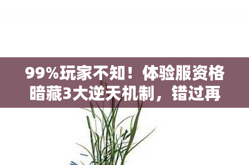 99%玩家不知!体验服资格暗藏3大逆天机制,错过再等3年! 99%玩家不知!体验服资格暗藏3大逆天机制,错过再等3年!
