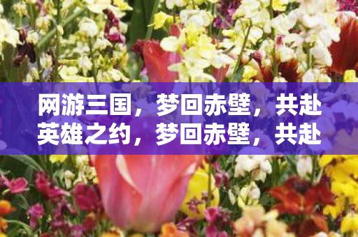 网游三国,梦回赤壁,共赴英雄之约,梦回赤壁,共赴网游三国英雄之约 网游三国,梦回赤壁,共赴英雄之约,梦回赤壁,共赴网游三国英雄之约