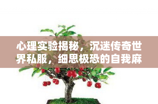 心理实验揭秘,沉迷传奇世界私服,细思极恐的自我麻醉之旅 心理实验揭秘,沉迷传奇世界私服,细思极恐的自我麻醉之旅