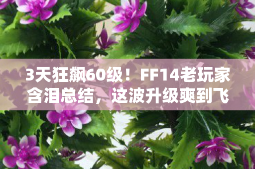 3天狂飙60级!FF14老玩家含泪总结,这波升级爽到飞起! 3天狂飙60级!FF14老玩家含泪总结,这波升级爽到飞起!