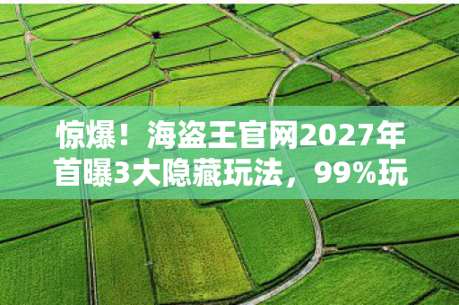 惊爆!海盗王官网2027年首曝3大隐藏玩法,99%玩家不知的真相! 惊爆!海盗王官网2027年首曝3大隐藏玩法,99%玩家不知的真相!