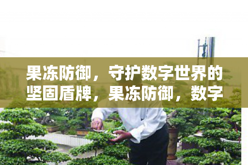 果冻防御，守护数字世界的坚固盾牌，果冻防御，数字世界的坚固盾牌