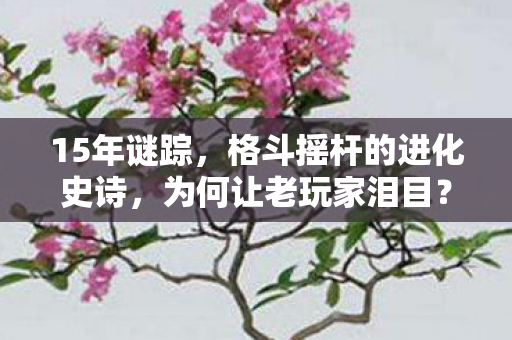 15年谜踪，格斗摇杆的进化史诗，为何让老玩家泪目？