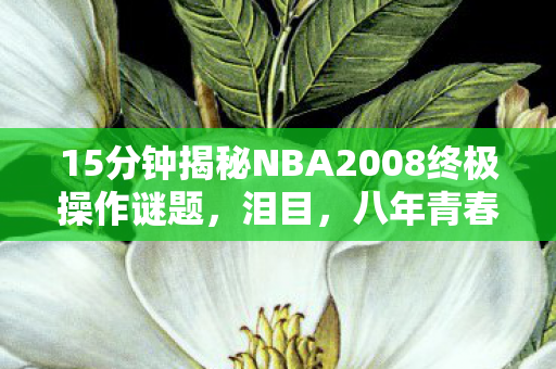 15分钟揭秘NBA2008终极操作谜题,泪目,八年青春竟成一场空 15分钟揭秘NBA2008终极操作谜题,泪目,八年青春竟成一场空