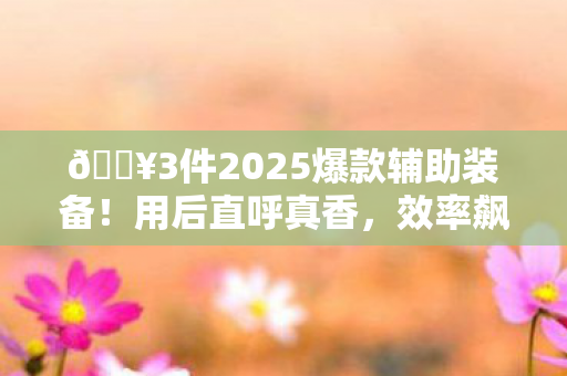🔥3件2025爆款辅助装备!用后直呼真香,效率飙升300%! 🔥3件2025爆款辅助装备!用后直呼真香,效率飙升300%!