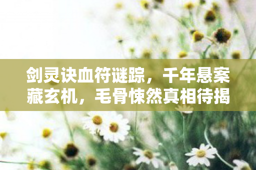 剑灵诀血符谜踪，千年悬案藏玄机，毛骨悚然真相待揭