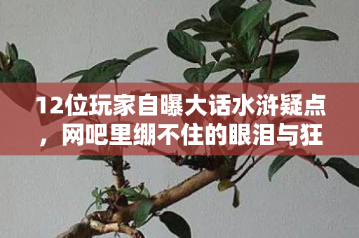 12位玩家自曝大话水浒疑点,网吧里绷不住的眼泪与狂笑 12位玩家自曝大话水浒疑点,网吧里绷不住的眼泪与狂笑