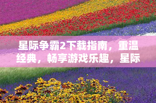 星际争霸2下载指南，重温经典，畅享游戏乐趣，星际争霸2，重温经典，畅享游戏乐趣的下载指南