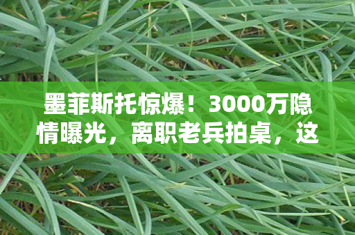 墨菲斯托惊爆!3000万隐情曝光,离职老兵拍桌,这操作真让人吓一跳! 墨菲斯托惊爆!3000万隐情曝光,离职老兵拍桌,这操作真让人吓一跳!