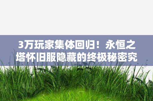 3万玩家集体回归!永恒之塔怀旧服隐藏的终极秘密究竟是什么? 3万玩家集体回归!永恒之塔怀旧服隐藏的终极秘密究竟是什么?
