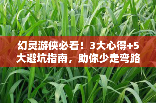 幻灵游侠必看!3大心得+5大避坑指南,助你少走弯路! 幻灵游侠必看!3大心得+5大避坑指南,助你少走弯路!