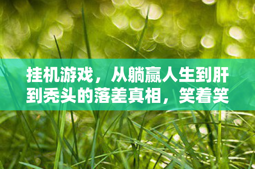挂机游戏,从躺赢人生到肝到秃头的落差真相,笑着笑着就哭了 挂机游戏,从躺赢人生到肝到秃头的落差真相,笑着笑着就哭了