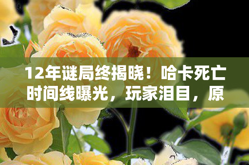 12年谜局终揭晓!哈卡死亡时间线曝光,玩家泪目,原来我们才是凶手 12年谜局终揭晓!哈卡死亡时间线曝光,玩家泪目,原来我们才是凶手