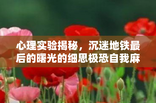 心理实验揭秘,沉迷地铁最后的曙光的细思极恐自我麻醉之旅 心理实验揭秘,沉迷地铁最后的曙光的细思极恐自我麻醉之旅