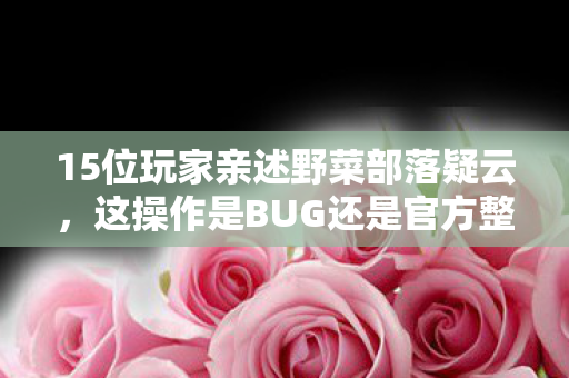 15位玩家亲述野菜部落疑云,这操作是BUG还是官方整活?我当场绷不住! 15位玩家亲述野菜部落疑云,这操作是BUG还是官方整活?我当场绷不住!