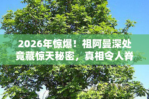2026年惊爆!祖阿曼深处竟藏惊天秘密,真相令人脊背发凉! 2026年惊爆!祖阿曼深处竟藏惊天秘密,真相令人脊背发凉!