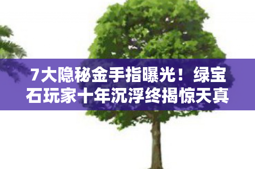 7大隐秘金手指曝光!绿宝石玩家十年沉浮终揭惊天真相 7大隐秘金手指曝光!绿宝石玩家十年沉浮终揭惊天真相