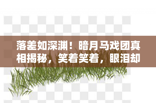 落差如深渊!暗月马戏团真相揭秘,笑着笑着,眼泪却悄然滑落 落差如深渊!暗月马戏团真相揭秘,笑着笑着,眼泪却悄然滑落