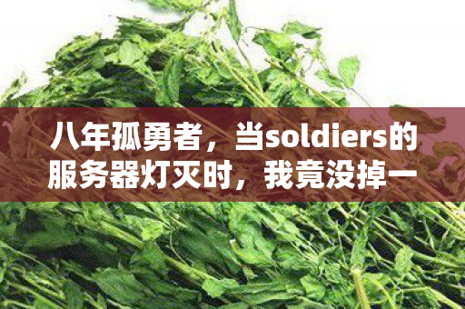 八年孤勇者,当soldiers的服务器灯灭时,我竟没掉一滴泪 八年孤勇者,当soldiers的服务器灯灭时,我竟没掉一滴泪