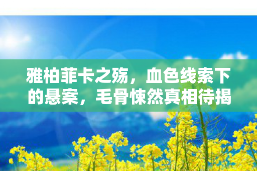 雅柏菲卡之殇,血色线索下的悬案,毛骨悚然真相待揭 雅柏菲卡之殇,血色线索下的悬案,毛骨悚然真相待揭