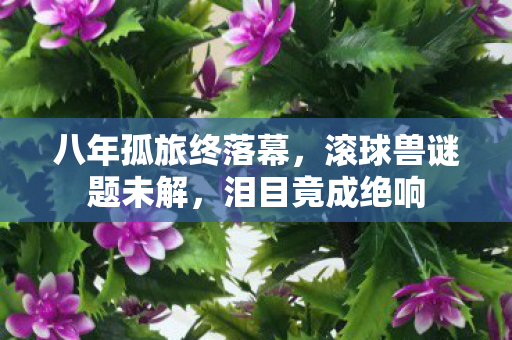 八年孤旅终落幕,滚球兽谜题未解,泪目竟成绝响 八年孤旅终落幕,滚球兽谜题未解,泪目竟成绝响