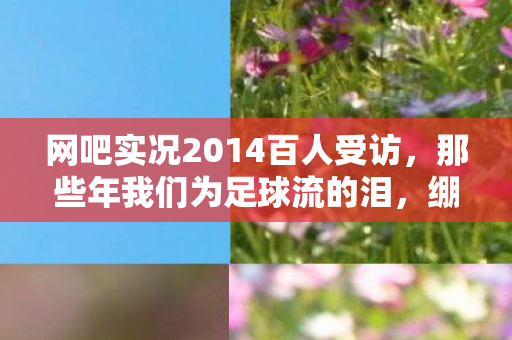 网吧实况2014百人受访，那些年我们为足球流的泪，绷不住的真相竟是……