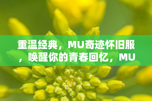 重温经典，MU奇迹怀旧服，唤醒你的青春回忆，MU奇迹怀旧服，重温经典，唤醒青春回忆