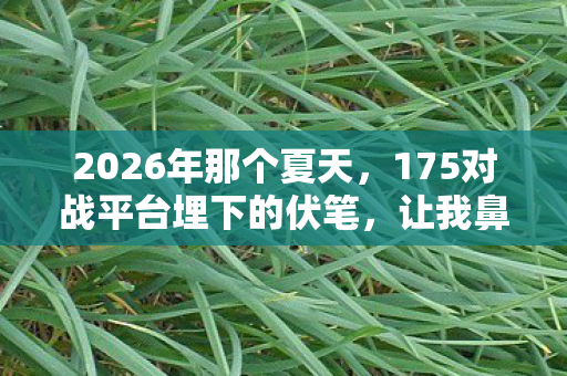 2026年那个夏天,175对战平台埋下的伏笔,让我鼻子一酸 2026年那个夏天,175对战平台埋下的伏笔,让我鼻子一酸