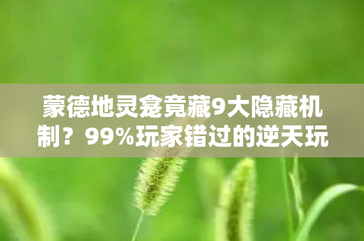 蒙德地灵龛竟藏9大隐藏机制?99%玩家错过的逆天玩法! 蒙德地灵龛竟藏9大隐藏机制?99%玩家错过的逆天玩法!