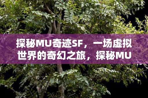 探秘MU奇迹SF,一场虚拟世界的奇幻之旅,探秘MU奇迹SF,虚拟世界的奇幻之旅 探秘MU奇迹SF,一场虚拟世界的奇幻之旅,探秘MU奇迹SF,虚拟世界的奇幻之旅