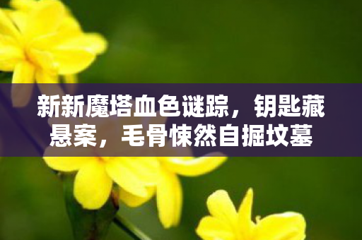 新新魔塔血色谜踪,钥匙藏悬案,毛骨悚然自掘坟墓 新新魔塔血色谜踪,钥匙藏悬案,毛骨悚然自掘坟墓