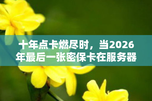 十年点卡燃尽时，当2026年最后一张密保卡在服务器熔炉里化为灰烬