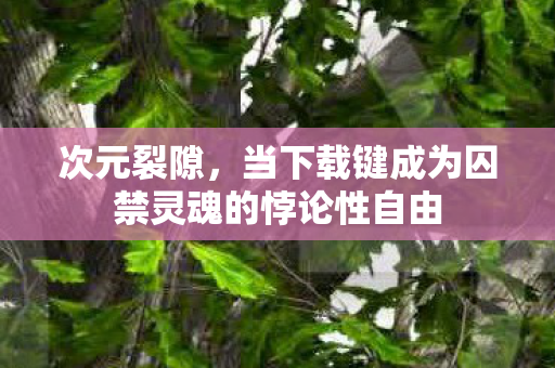 次元裂隙,当下载键成为囚禁灵魂的悖论性自由 次元裂隙,当下载键成为囚禁灵魂的悖论性自由