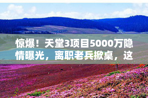 惊爆!天堂3项目5000万隐情曝光,离职老兵掀桌,这操作真让人吓一跳! 惊爆!天堂3项目5000万隐情曝光,离职老兵掀桌,这操作真让人吓一跳!