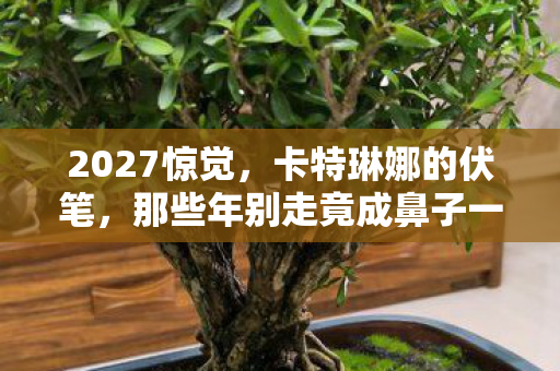 2027惊觉,卡特琳娜的伏笔,那些年别走竟成鼻子一酸的绝响 2027惊觉,卡特琳娜的伏笔,那些年别走竟成鼻子一酸的绝响