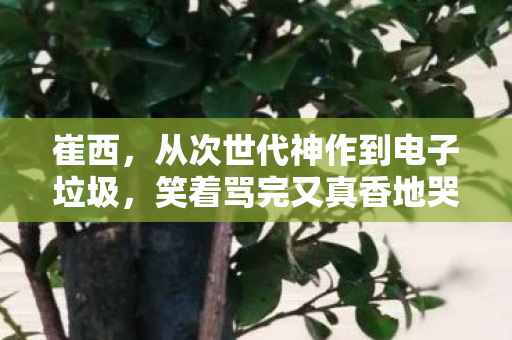 崔西,从次世代神作到电子垃圾,笑着骂完又真香地哭了 崔西,从次世代神作到电子垃圾,笑着骂完又真香地哭了