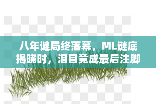 八年谜局终落幕,ML谜底揭晓时,泪目竟成最后注脚 八年谜局终落幕,ML谜底揭晓时,泪目竟成最后注脚