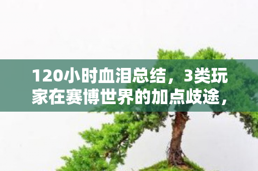 120小时血泪总结，3类玩家在赛博世界的加点歧途，谁在深夜破防？
