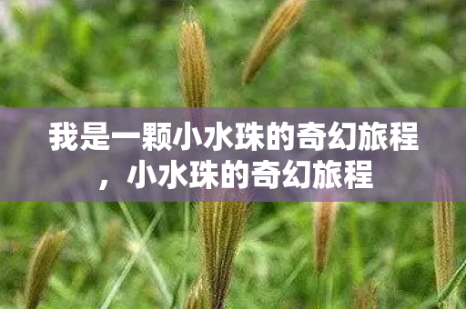 我是一颗小水珠的奇幻旅程,小水珠的奇幻旅程 我是一颗小水珠的奇幻旅程,小水珠的奇幻旅程