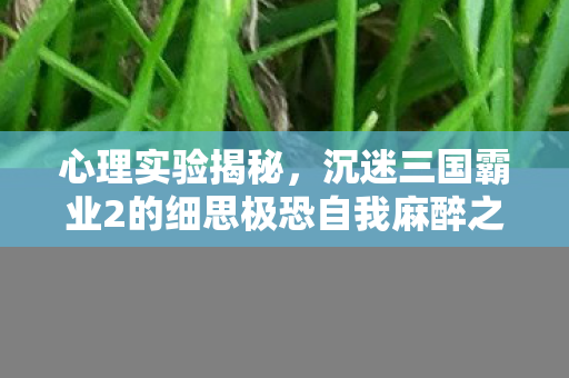 心理实验揭秘，沉迷三国霸业2的细思极恐自我麻醉之旅