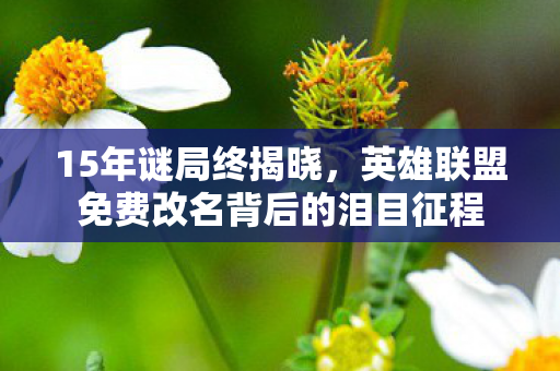 15年谜局终揭晓，英雄联盟免费改名背后的泪目征程