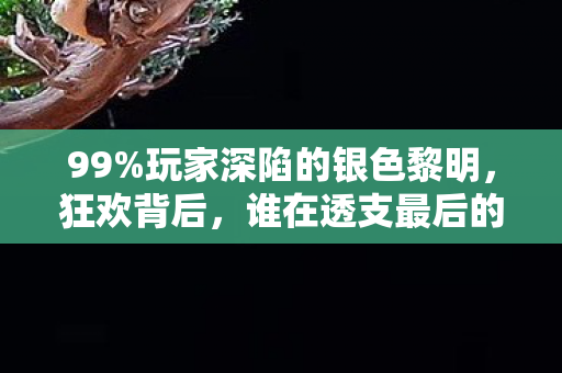 99%玩家深陷的银色黎明，狂欢背后，谁在透支最后的热血？