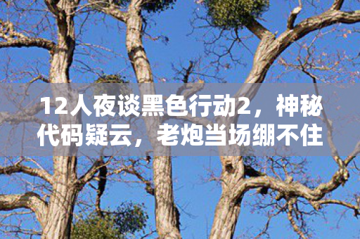 12人夜谈黑色行动2,神秘代码疑云,老炮当场绷不住! 12人夜谈黑色行动2,神秘代码疑云,老炮当场绷不住!