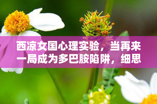 西凉女国心理实验,当再来一局成为多巴胺陷阱,细思极恐! 西凉女国心理实验,当再来一局成为多巴胺陷阱,细思极恐!